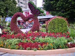-水围村