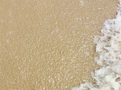 -后海村