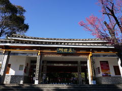 -蝴蝶泉公园