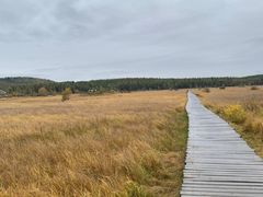 -塞罕坝国家级自然保护区