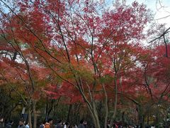 -灵顺寺