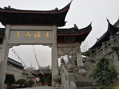 -鸡鸣赐茶(鸡鸣寺路店)