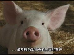 -遇见 ·砂师弟与二师兄
