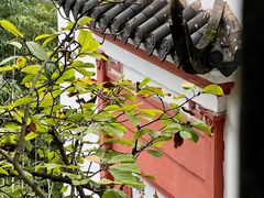 -东坡赤壁风景名胜区