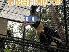 -广州动物园