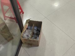 -高家大院烤全羊