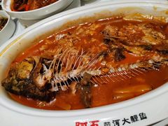 -阿五黄河大鲤鱼(海尚店)