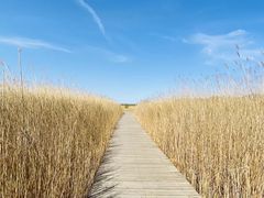 -野鸭湖国家湿地公园