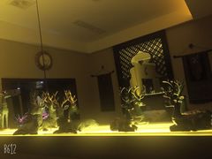 -素可汤泉(天宝大厦店)