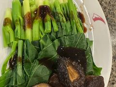 -中国城银都鱼翅酒楼