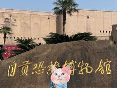 -自贡恐龙博物馆