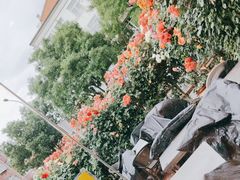 -张记焖窑·十五年专注焖烤(雍和宫店)