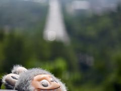 -火炉山森林公园