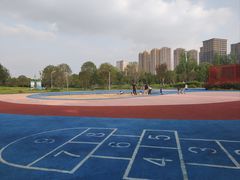 -洋湖国家湿地公园