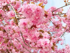 -唐城墙遗址公园