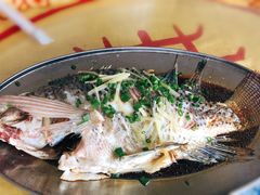 -荔枝红五号农庄
