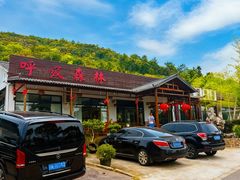 -呼吸森林·生态农庄农家乐私房菜