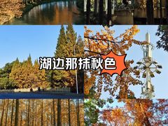 -升仙湖公园