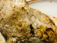 烤生蚝-小杨烤肉(高新店)