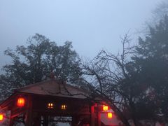 -黄山温泉国际旅游度假区