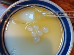 -老鼎万春卤菜(五代传承创始老店)