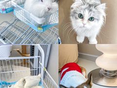 -怪兽屋·羊驼·猫咖·狗咖(俊华广场店)