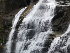 -海南热带雨林国家公园吊罗山景区
