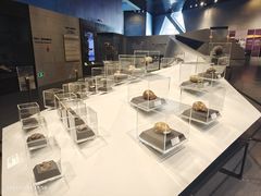 -北京周口店北京人遗址博物馆