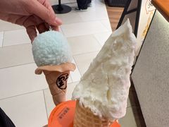 -野人先生现做冰淇淋(北京环宇荟店)