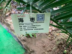 -呀路古热带植物园