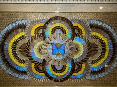 -上海昆虫博物馆