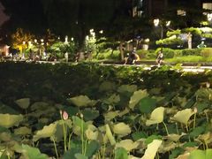 -郭守敬纪念馆
