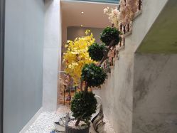 点击看大图 -静港气质医美