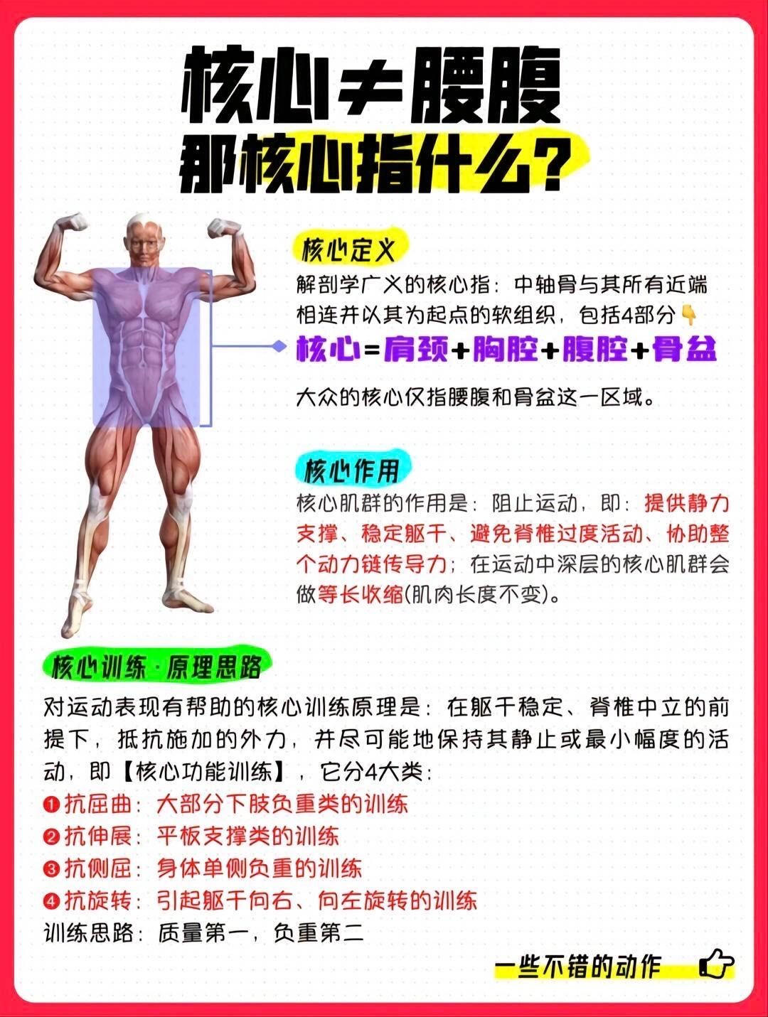 n\\n组成部分\\n\\n• 腹部肌群包括腹直肌腹外斜肌腹内斜肌秃 