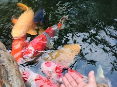 -仙岳公园