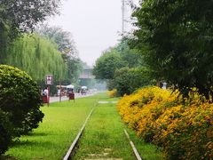 -永定河休闲森林公园