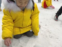 -世界之窗阿尔卑斯冰雪世界
