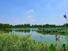 -三圣花乡旅游区