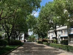 -浙江越秀外国语学院