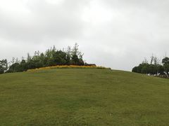 -滆湖低碳生态公园