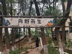 -南京晨光1865创意产业园