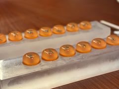 -木守西溪溪隐餐厅