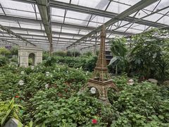 -南宫五洲植物乐园