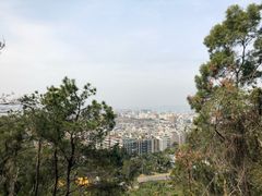 -仙岳公园