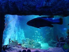 -沈阳海洋探索中心