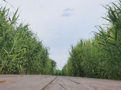 -永定河休闲森林公园