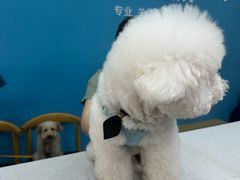 -贝利宠物医院·骨科·眼科·肿瘤转诊中心(南坪诊疗中心)