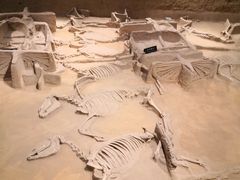 -洛阳周王城天子驾六博物馆