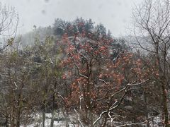 -秦岭终南山世界地质公园翠华山景区
