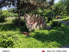 -黑龙江省森林植物园